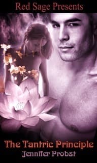 The Tantric Principle book cover