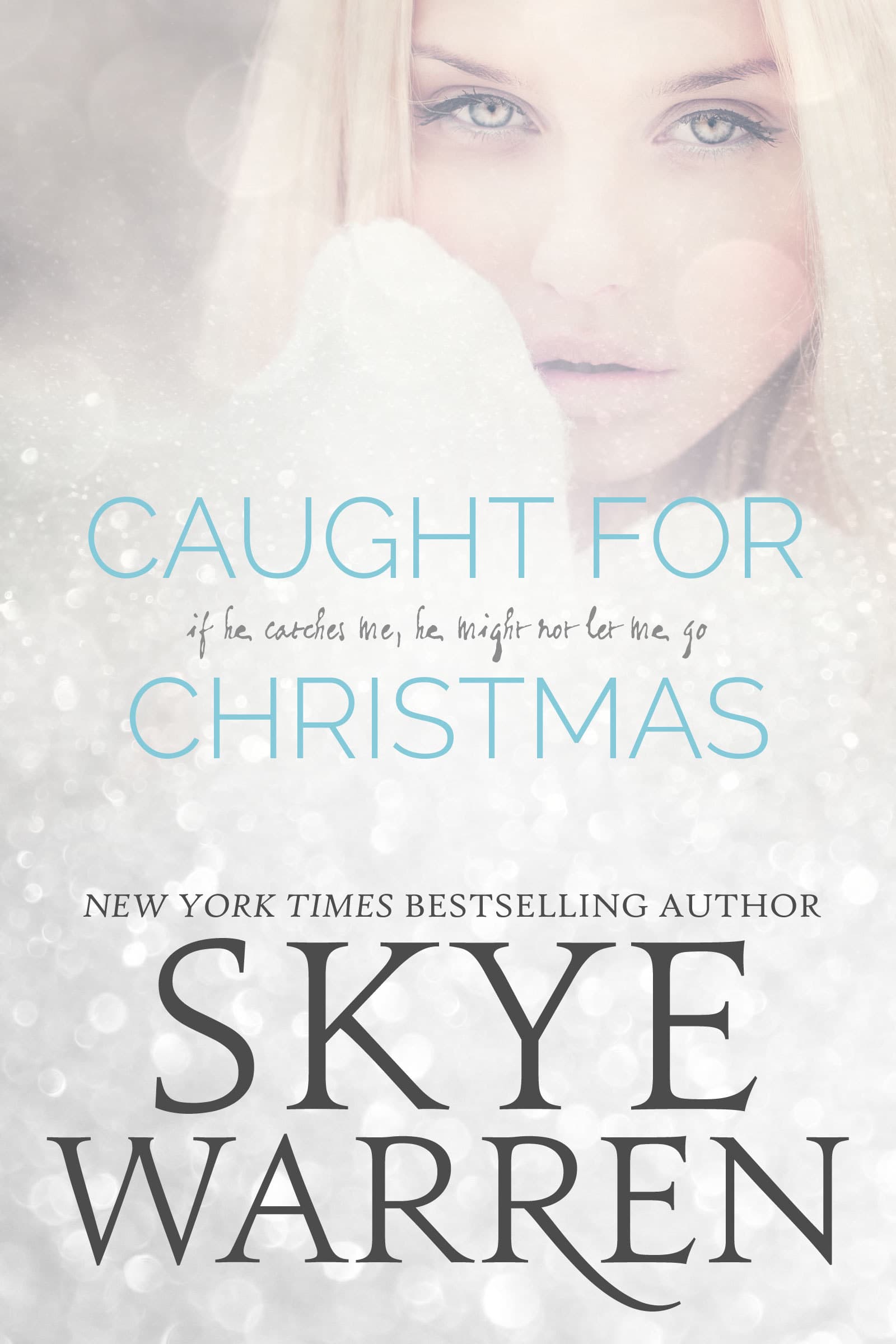 Caught for Christmas book cover