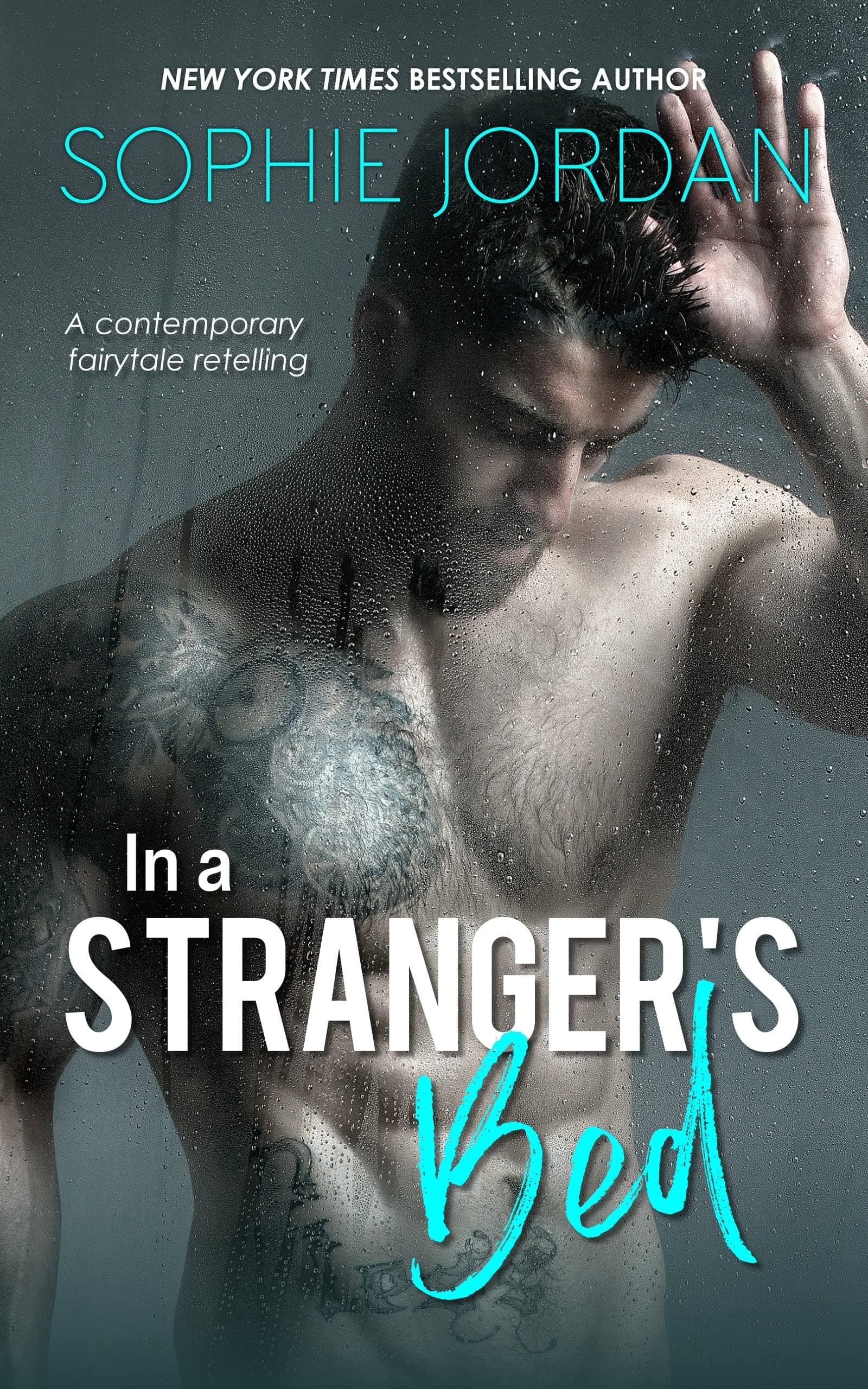 In a Stranger's Bed book cover