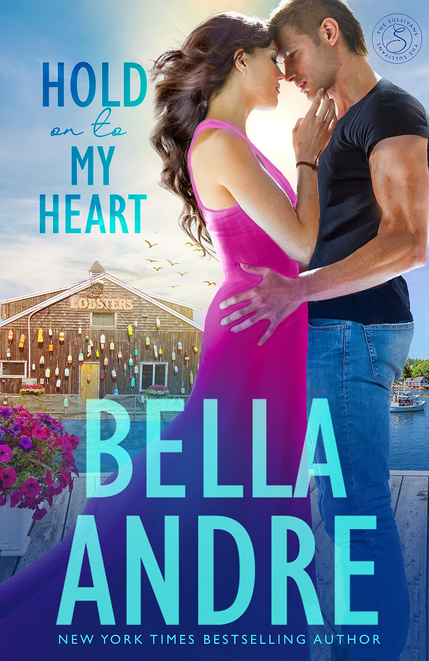 Hold on to My Heart book cover