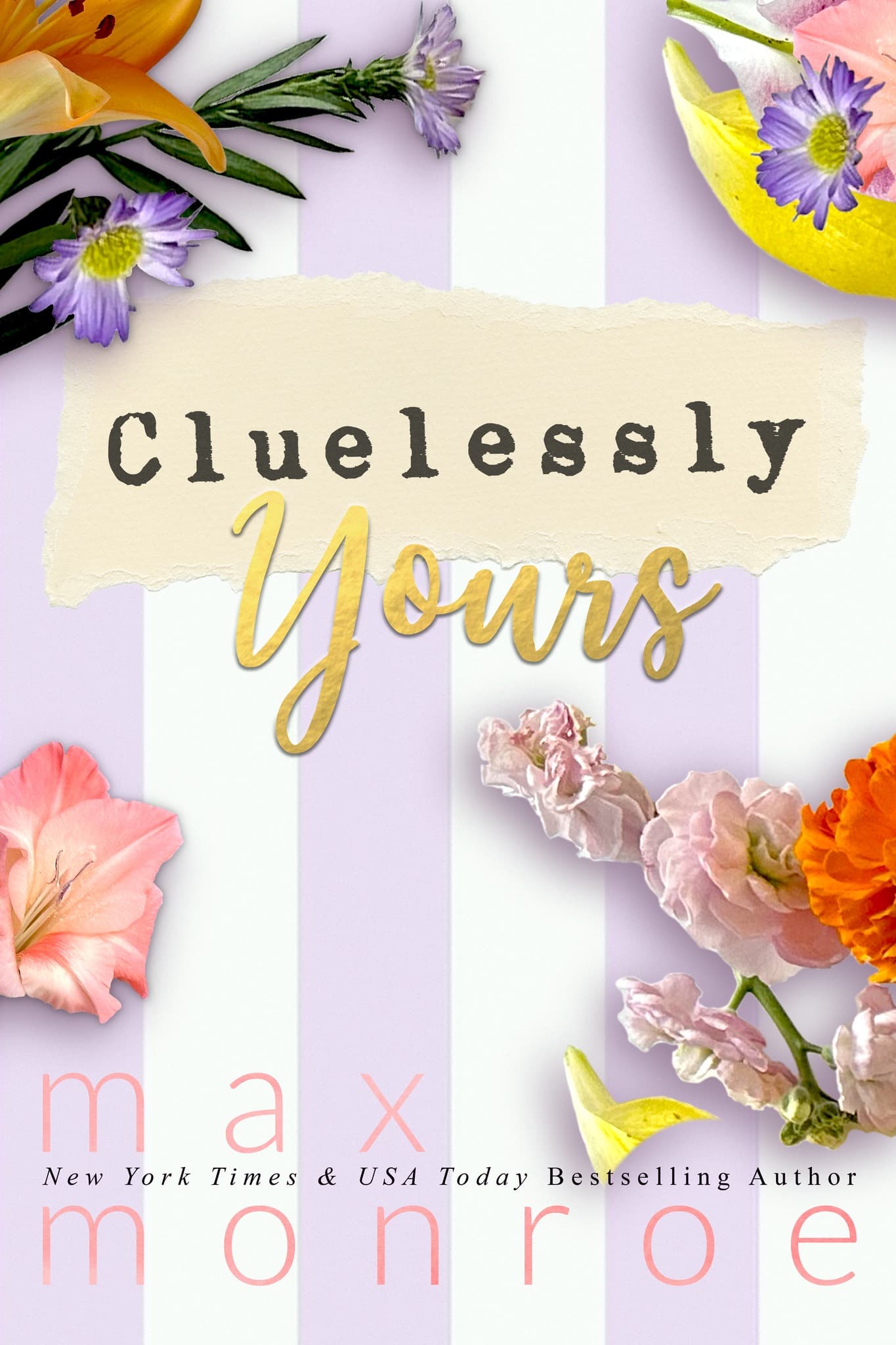 Cluelessly Yours book cover