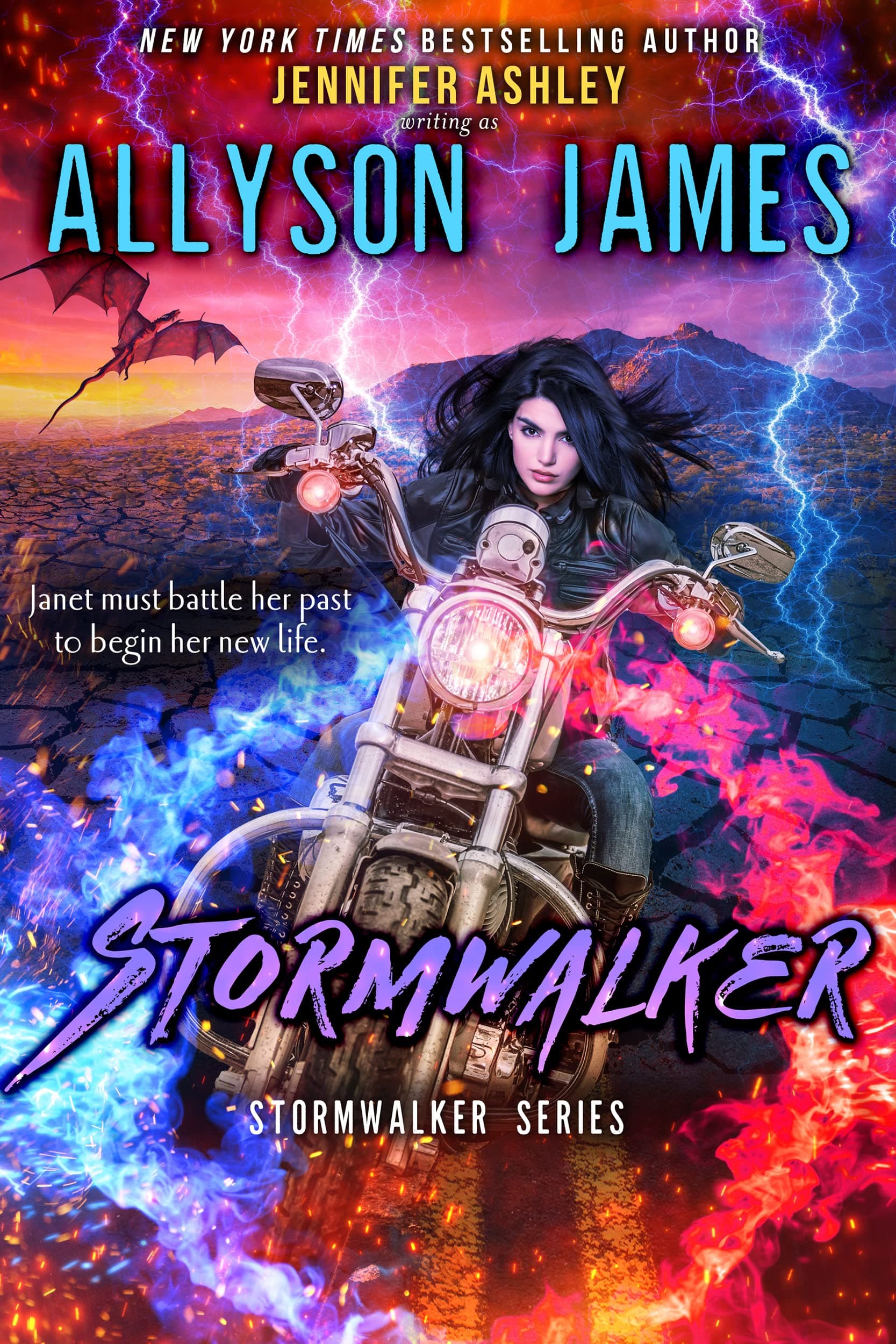 Stormwalker book cover