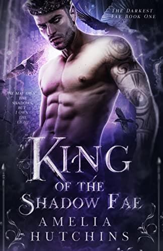 King of the Shadow Fae book cover