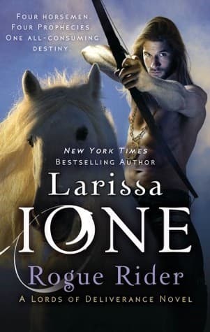Rogue Rider book cover