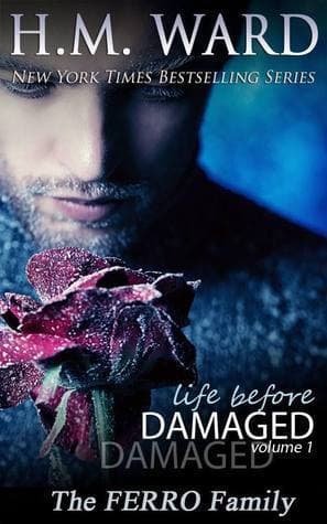 Life Before Damaged, Volume 1: The Ferro Family book cover