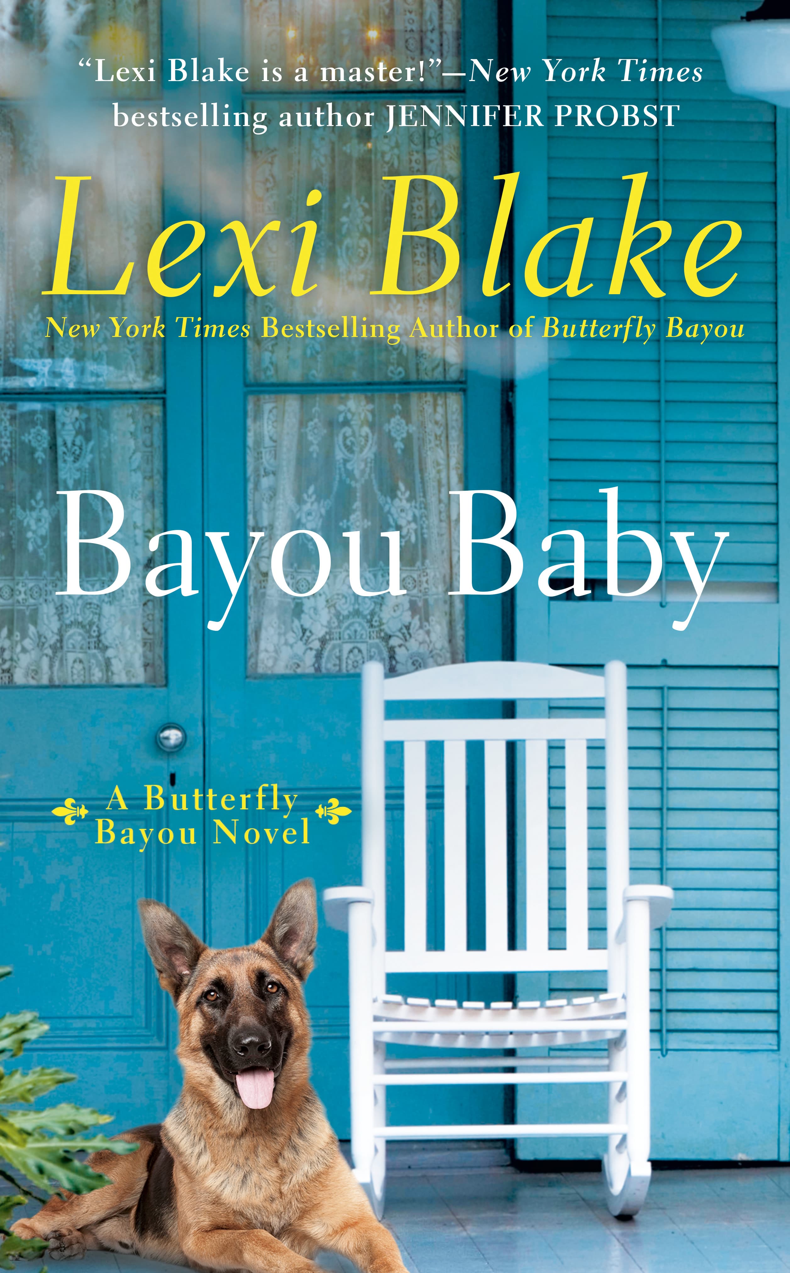 Bayou Baby book cover