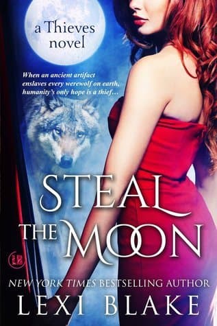 Steal the Moon book cover