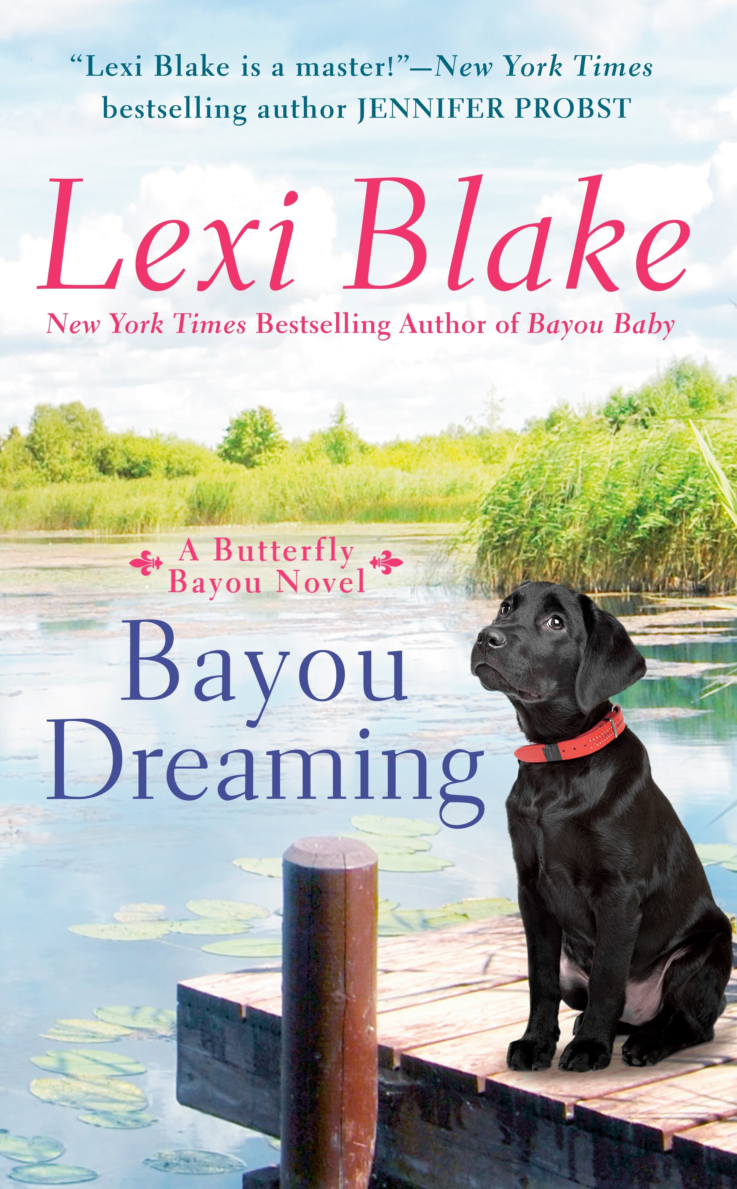 Bayou Dreaming book cover