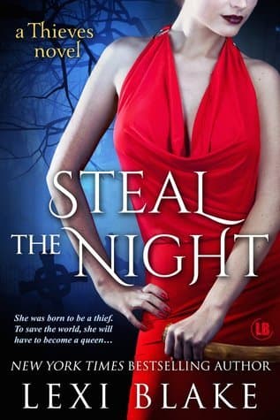 Steal the Night book cover