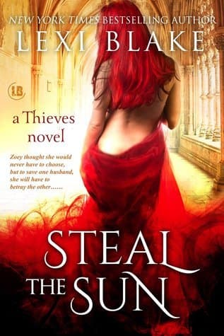 Steal the Sun book cover