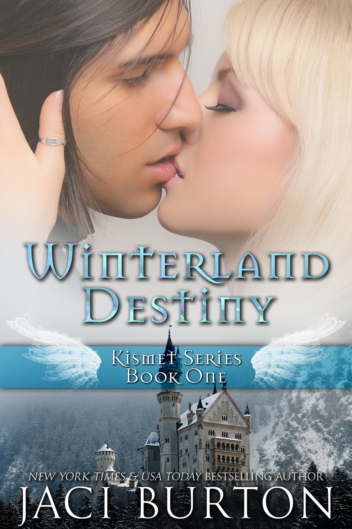 Winterland Destiny book cover