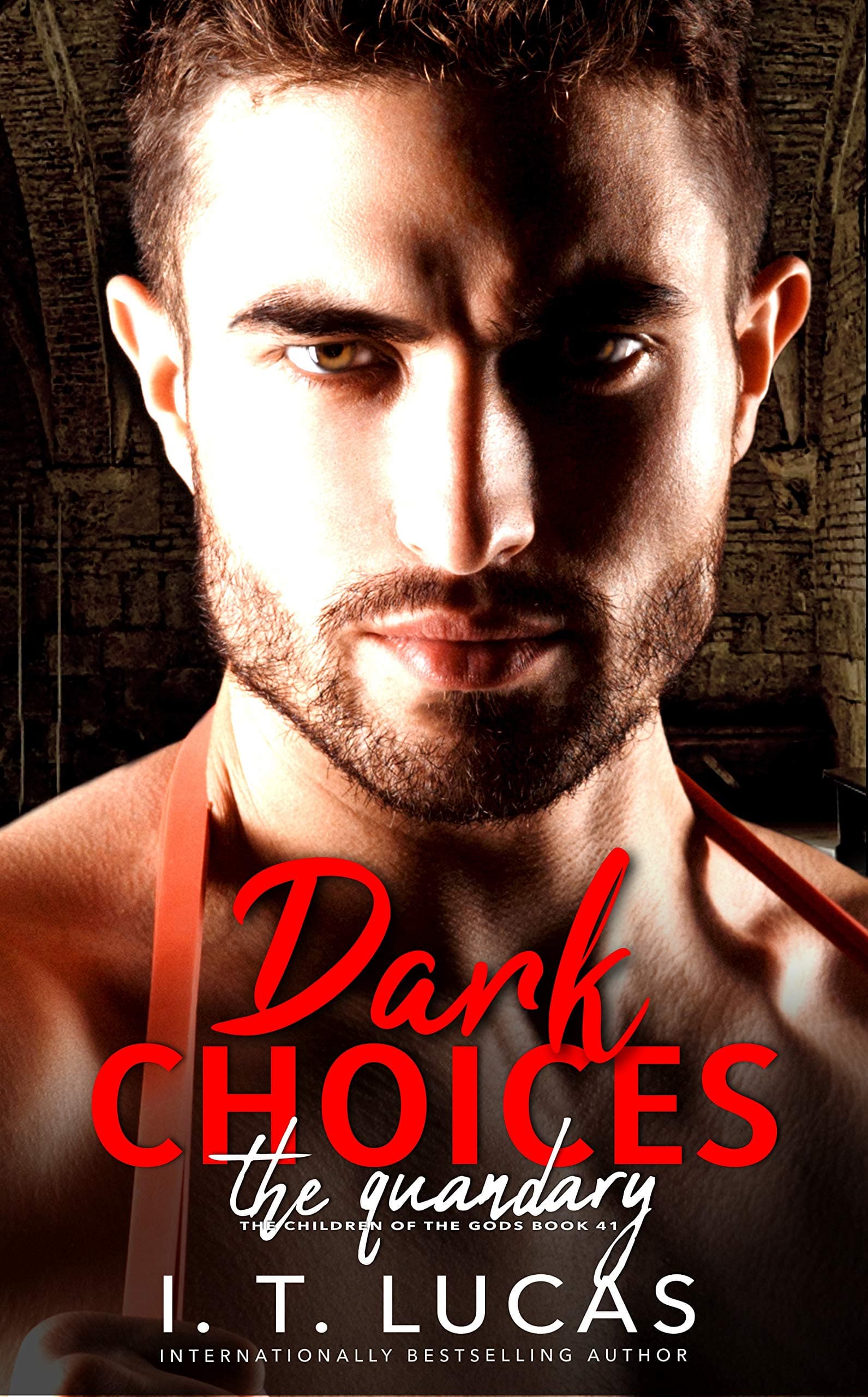 Dark Choices: The Quandary book cover