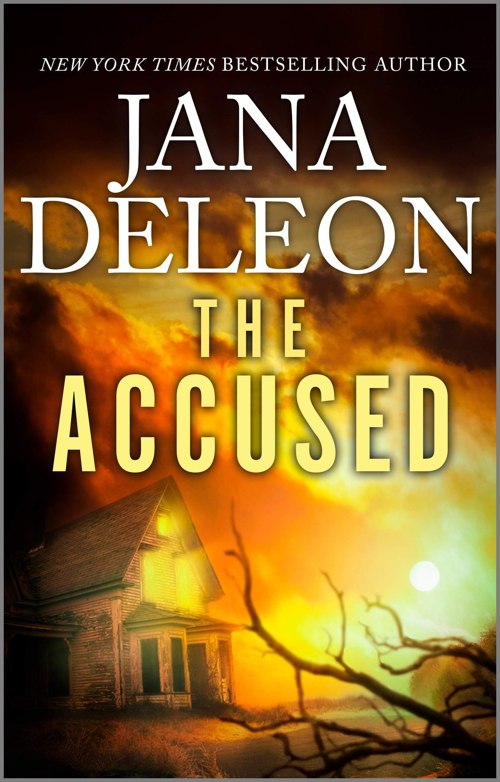 The Accused book cover