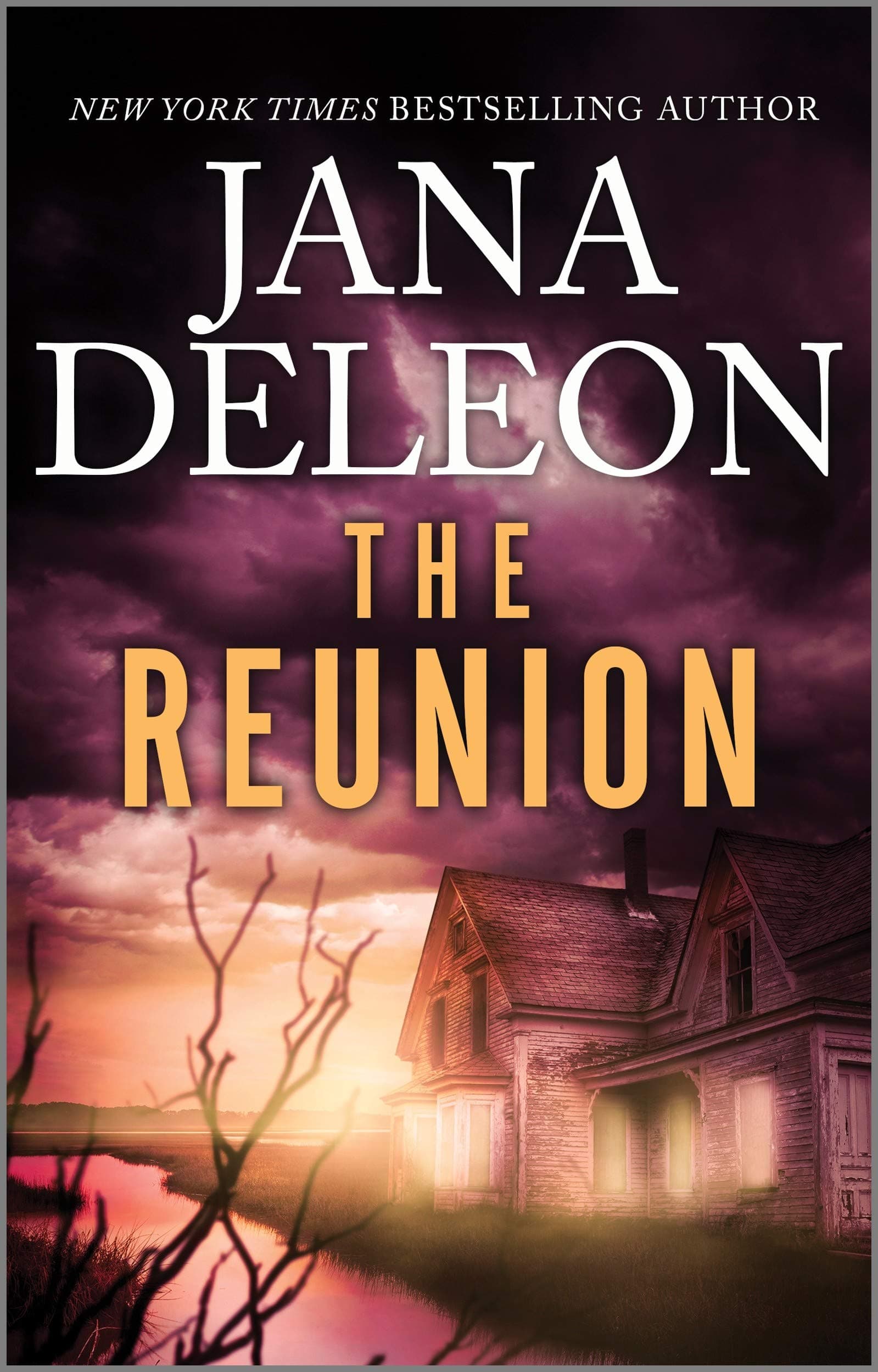 The Reunion book cover