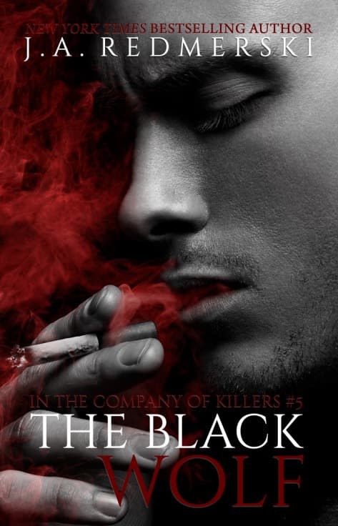 The Black Wolf book cover