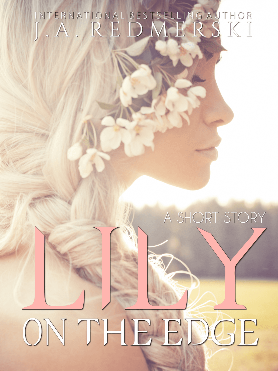 Lily On The Edge book cover