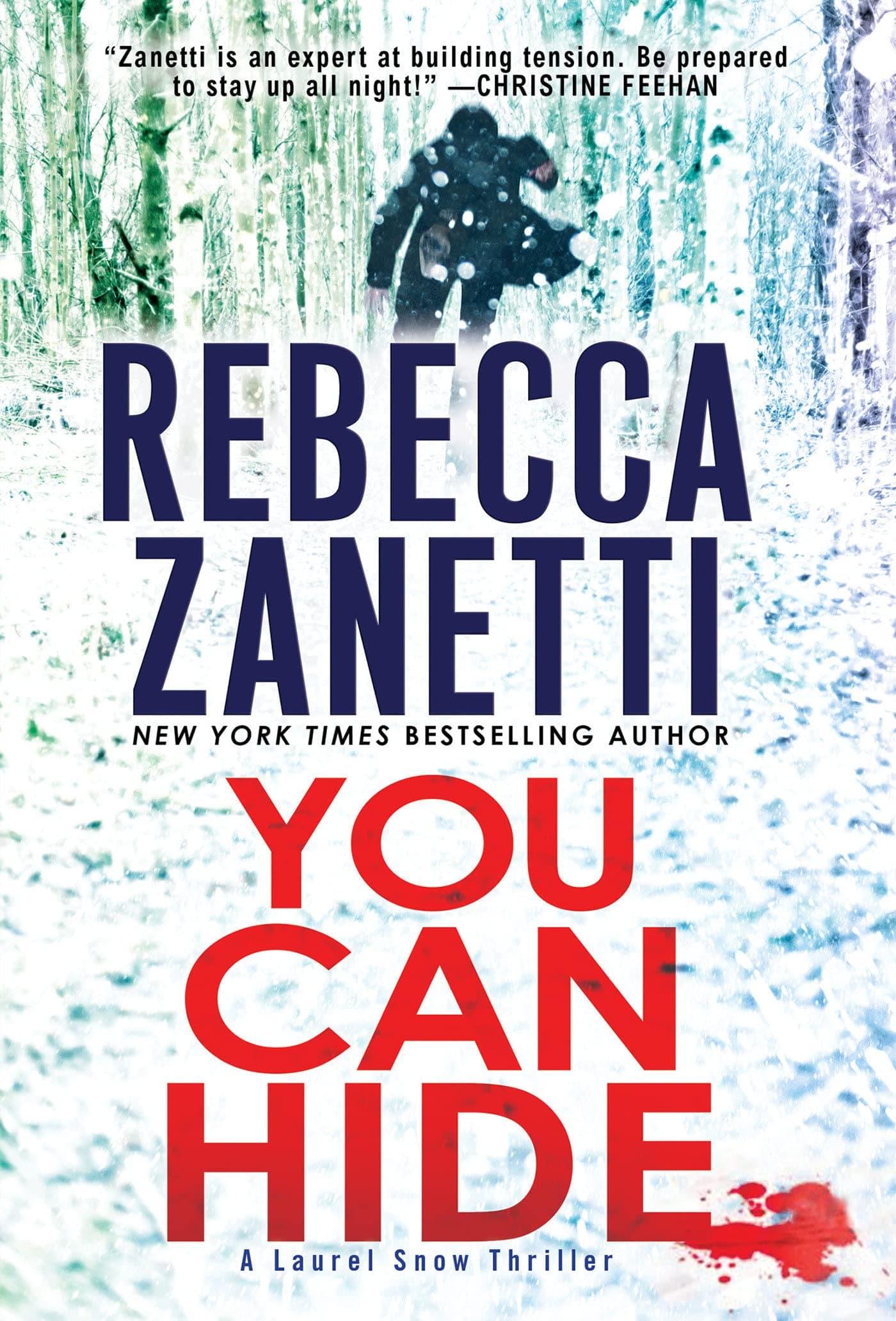 You Can Hide book cover