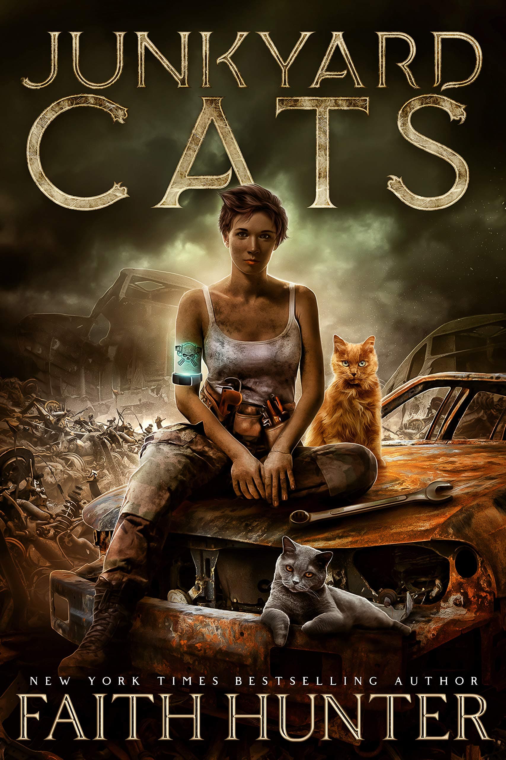 Junkyard Cats book cover