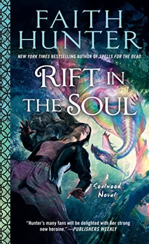 Rift in the Soul book cover