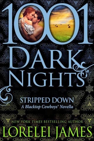Stripped Down book cover