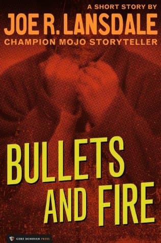 Bullets and Fire book cover