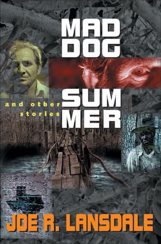 Mad Dog Summer: And Other Stories book cover