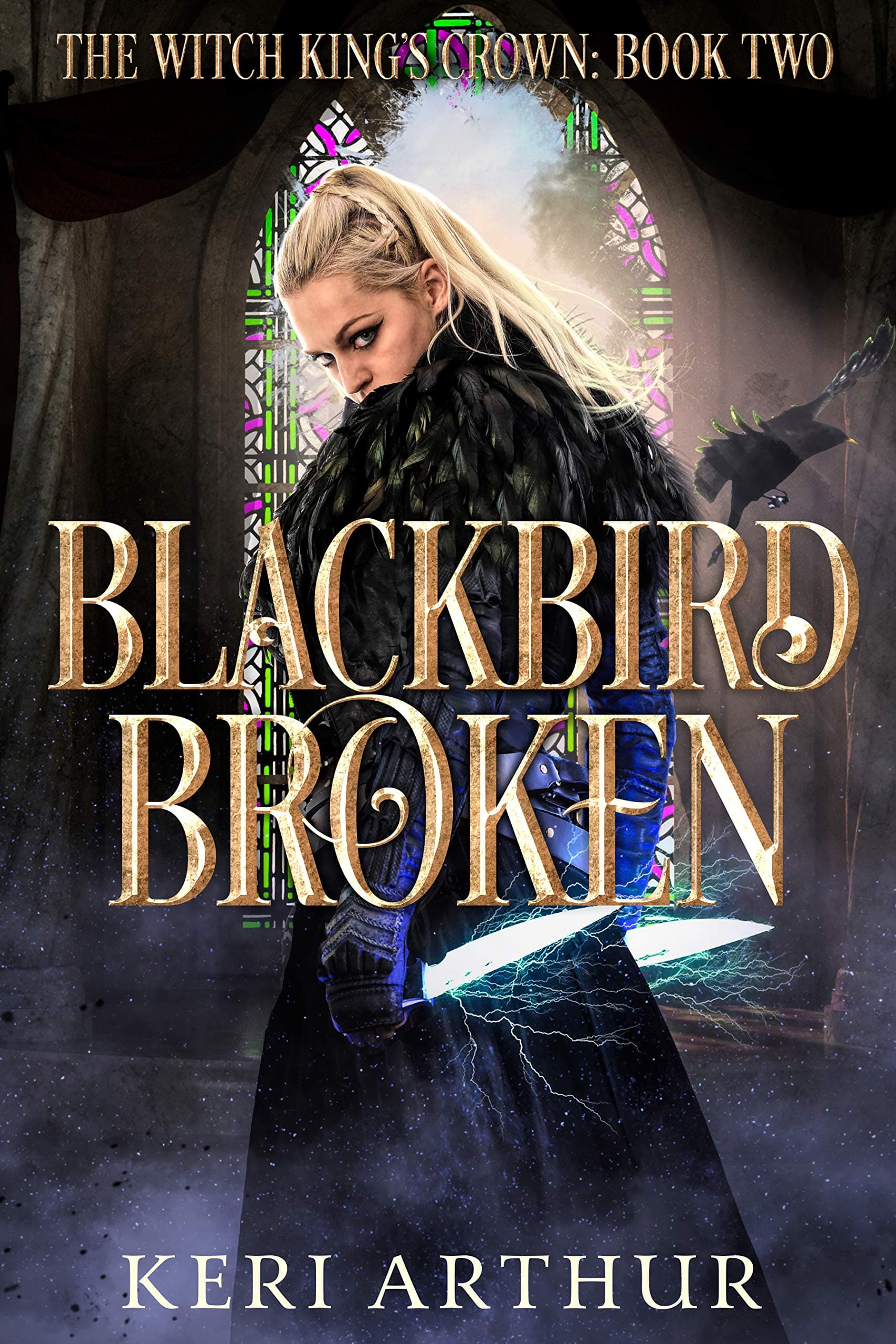 Blackbird Broken book cover