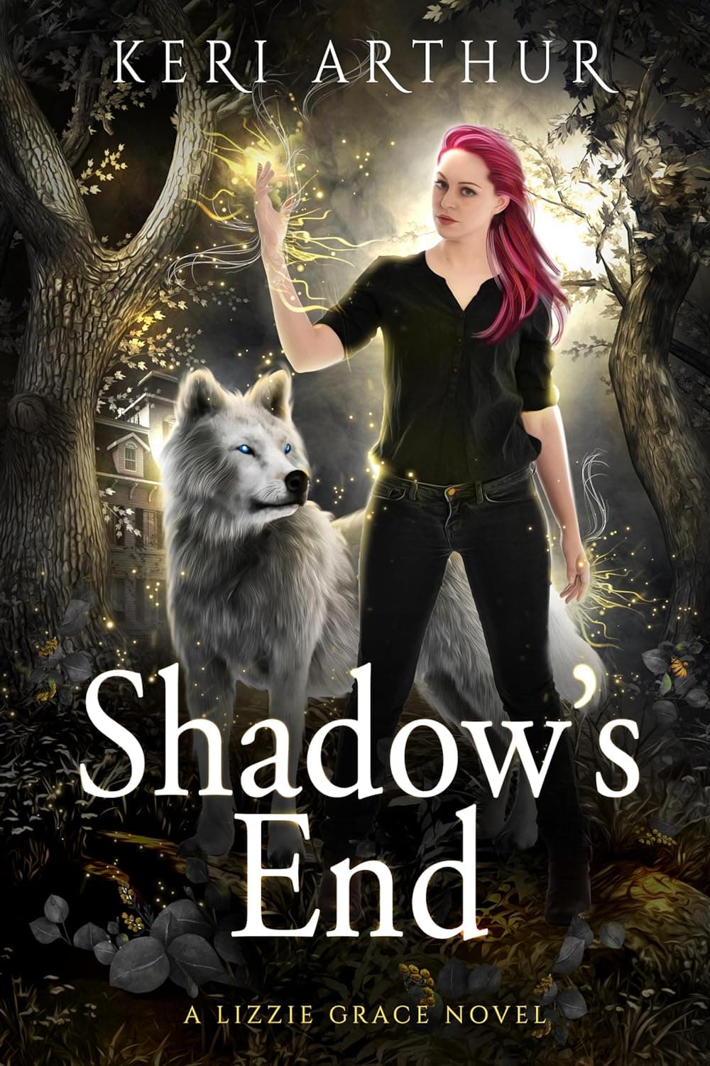 Shadow's End book cover