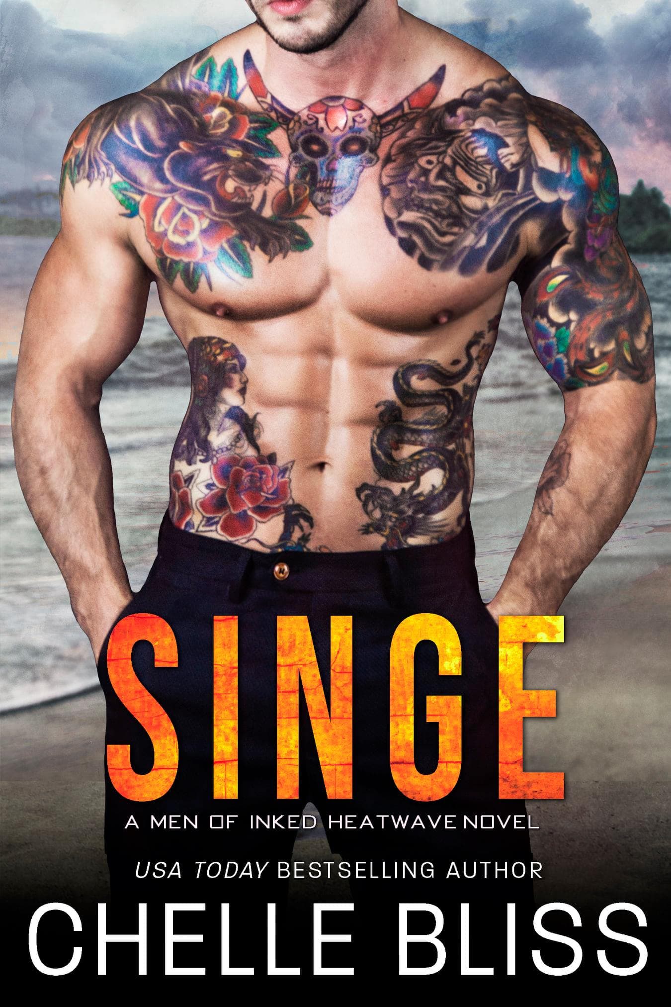 Singe book cover