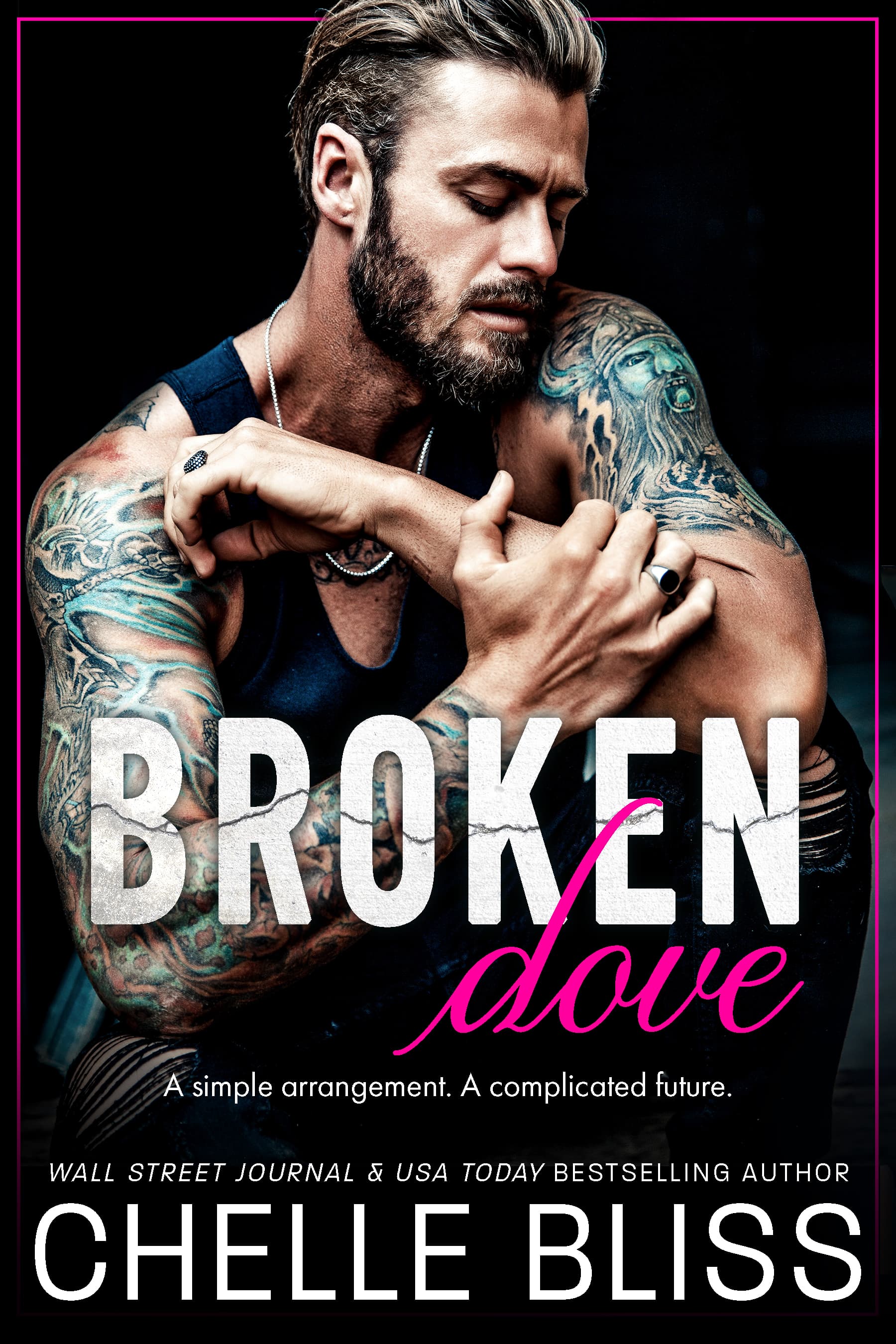 Broken Dove book cover