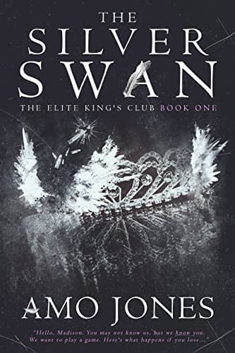 The Silver Swan book cover