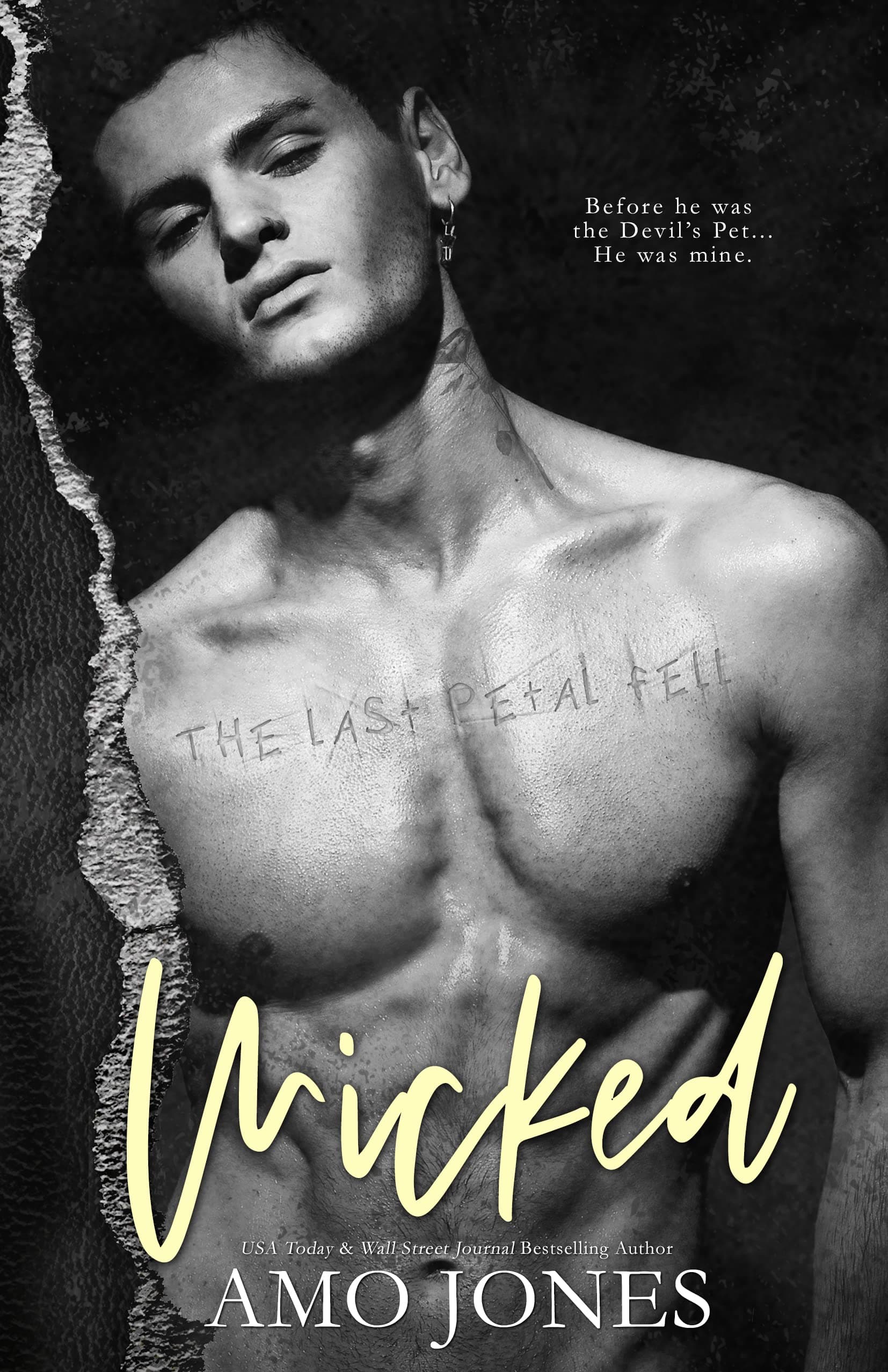 Wicked book cover