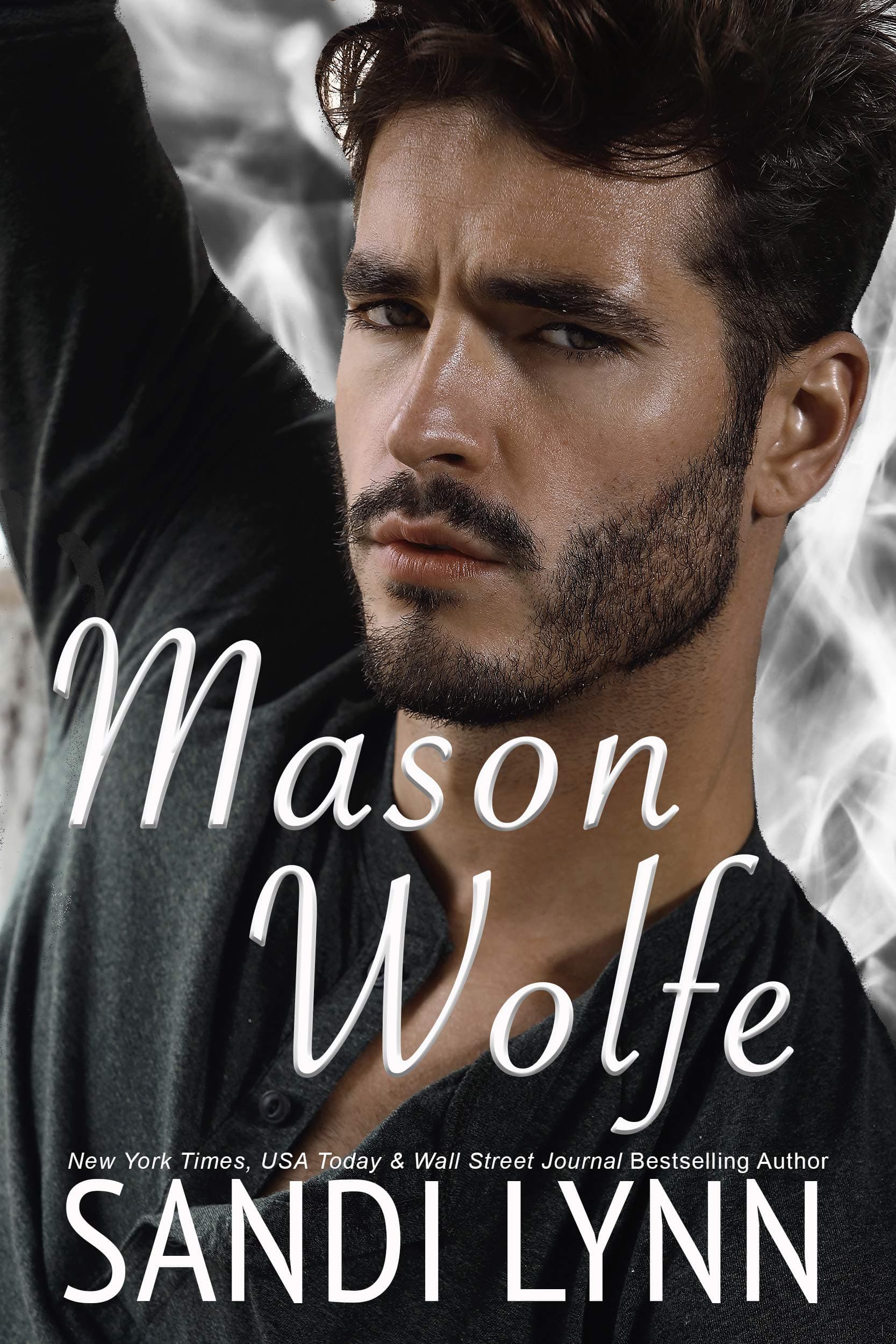 Mason Wolfe book cover