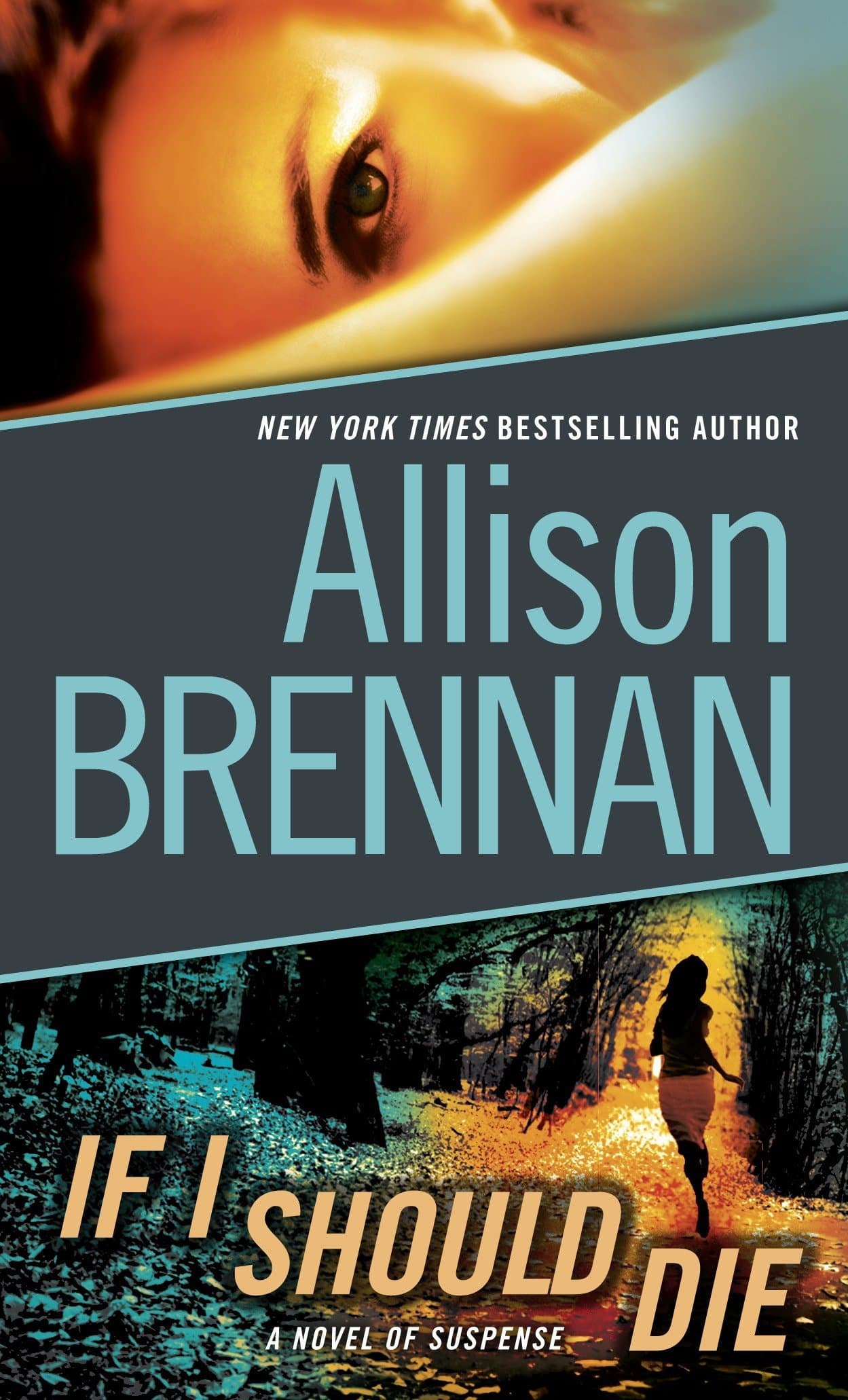 If I Should Die book cover