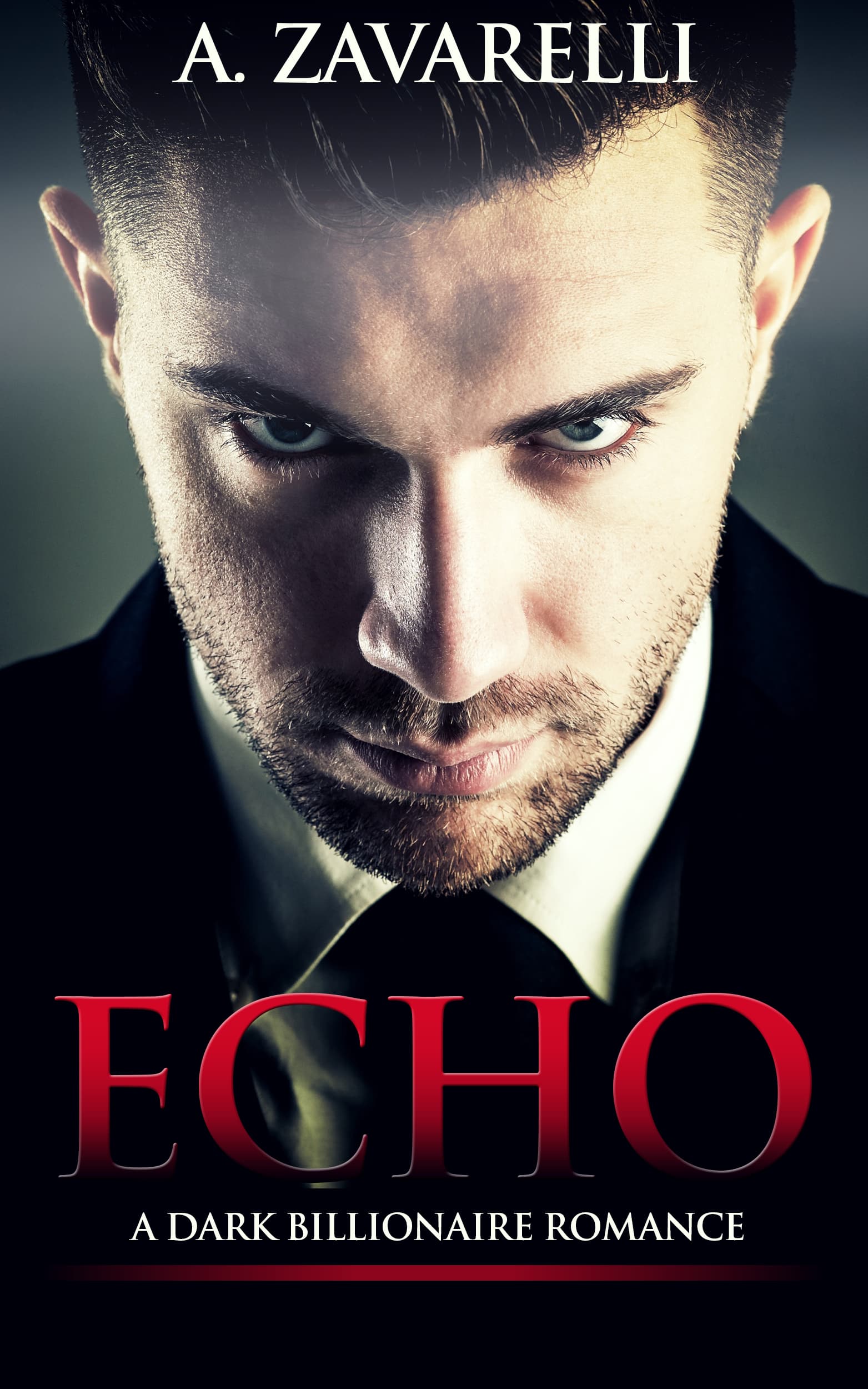 Echo book cover