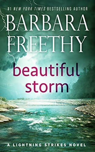 Beautiful Storm book cover