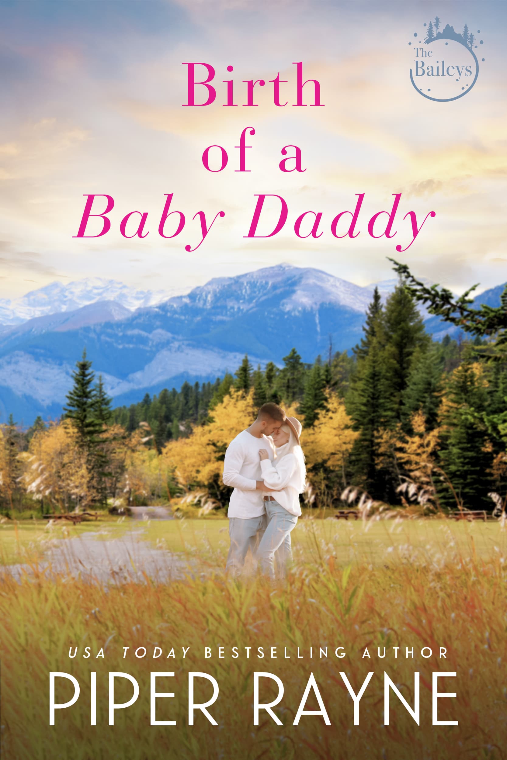 Birth of a Baby Daddy book cover