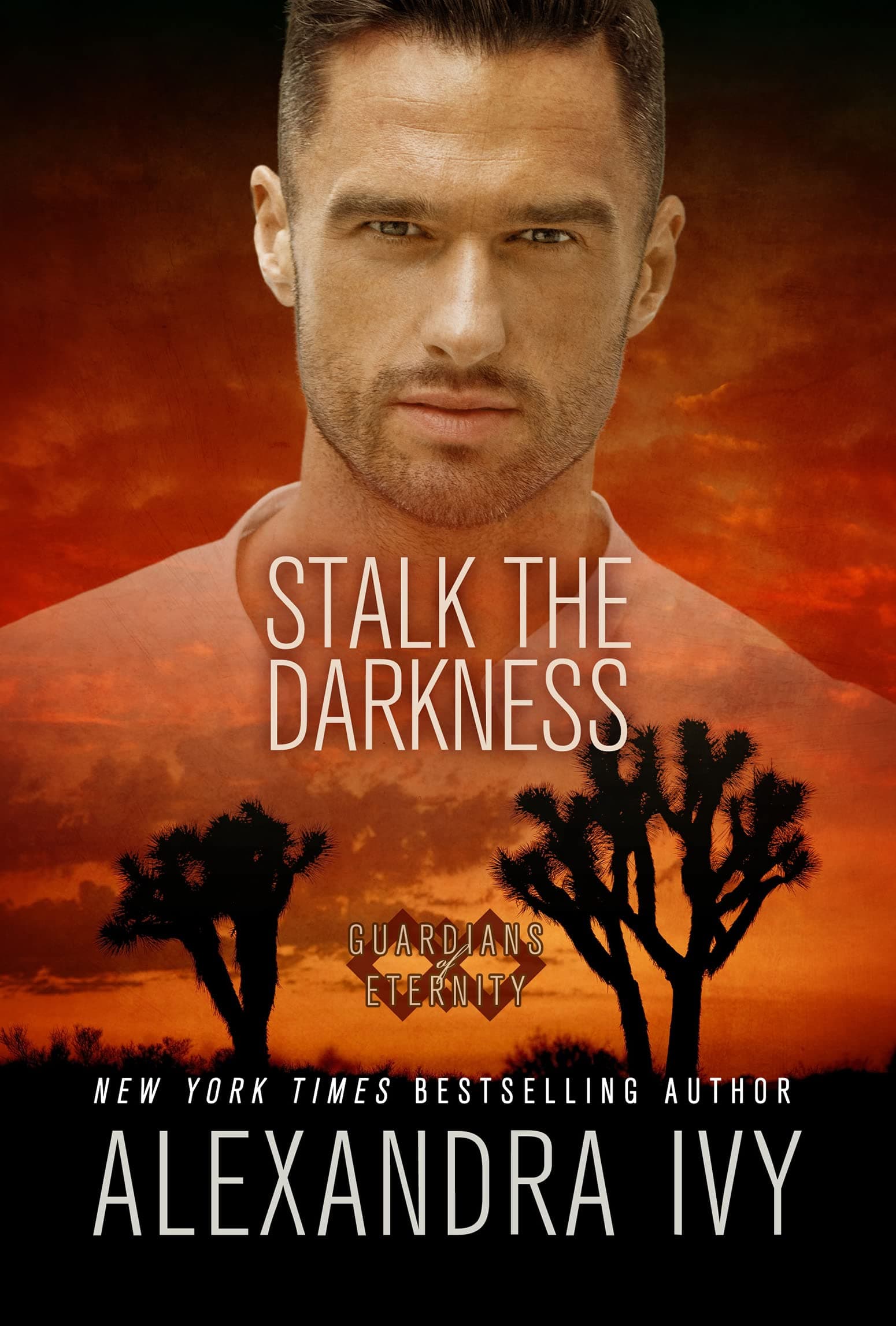 Stalk the Darkness book cover