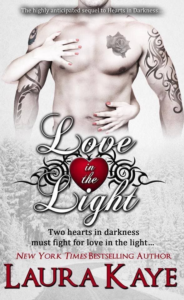 Love in the Light book cover