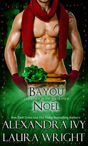 Bayou Noël book cover
