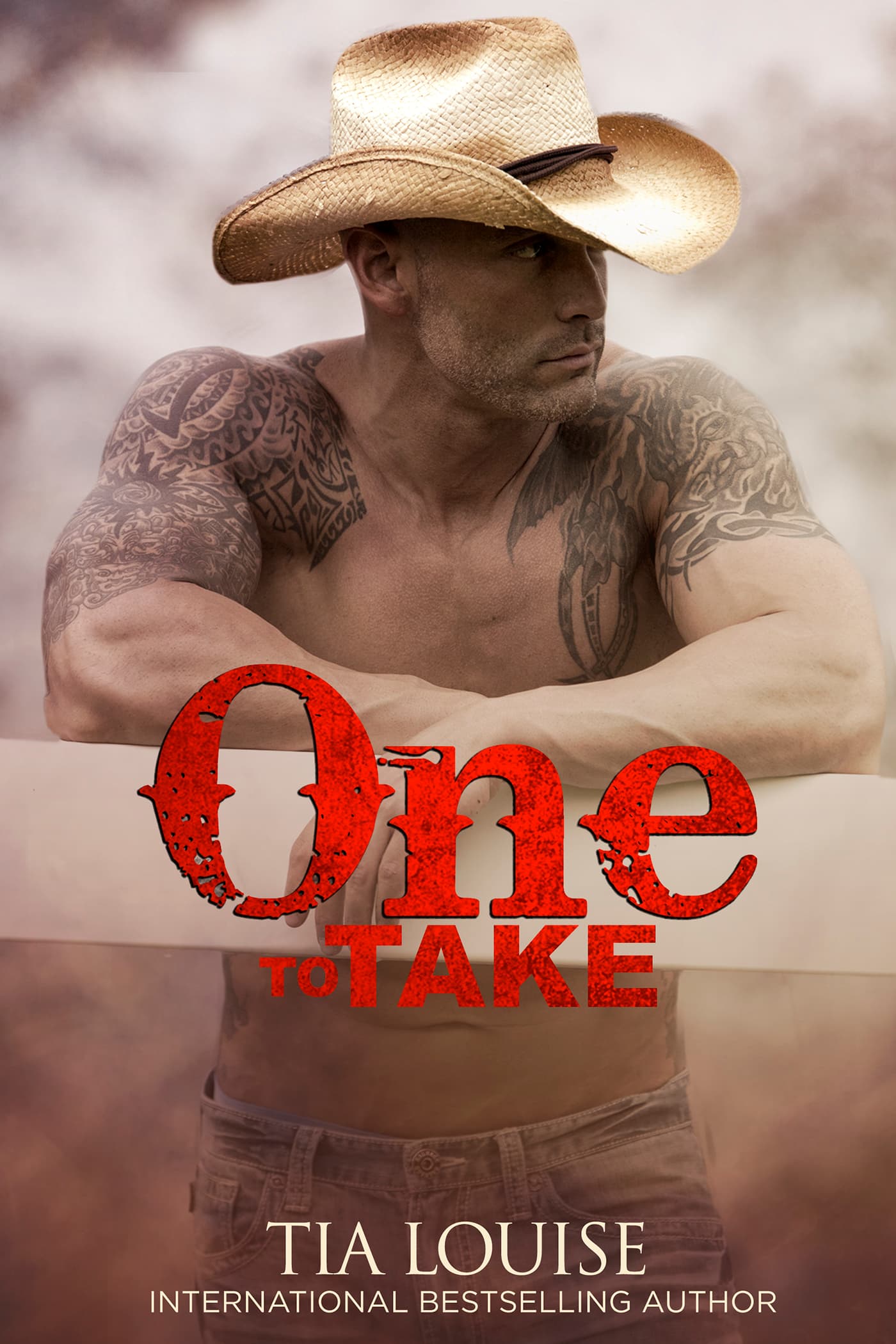 One to Take book cover