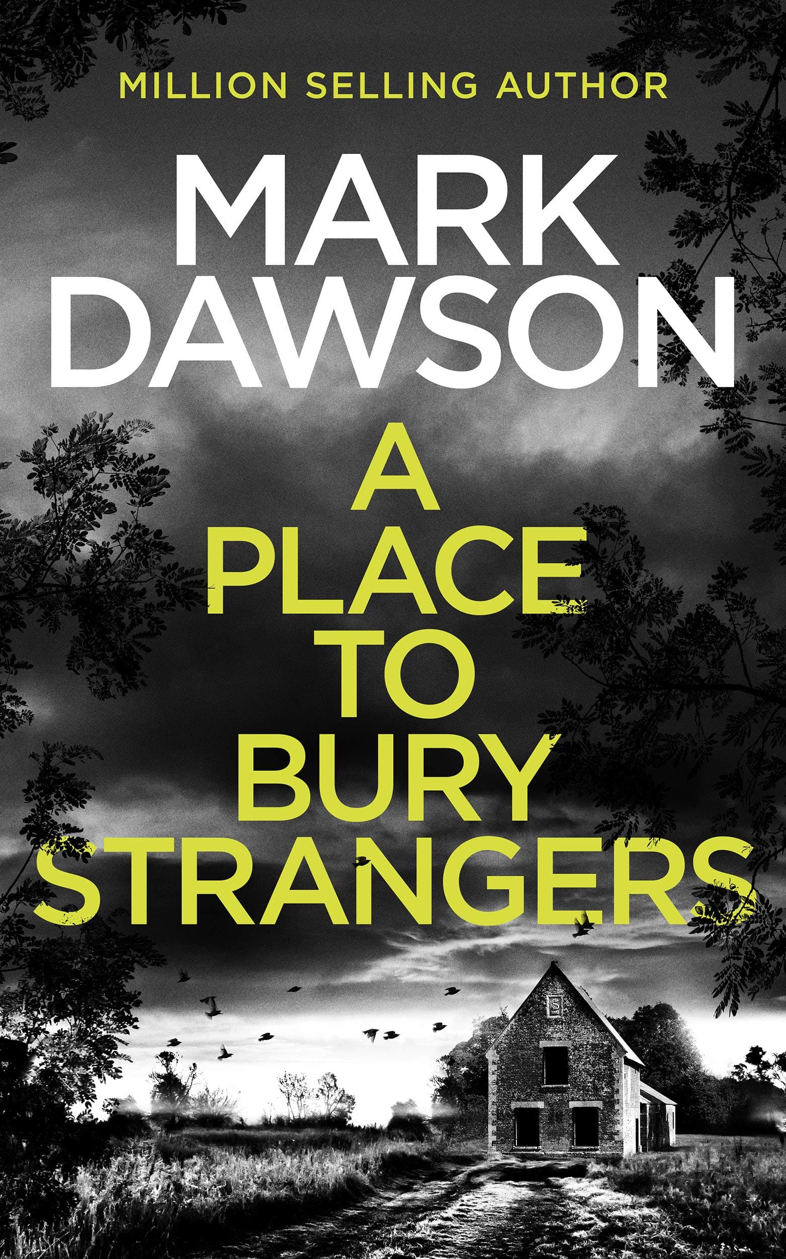 A Place To Bury Strangers book cover