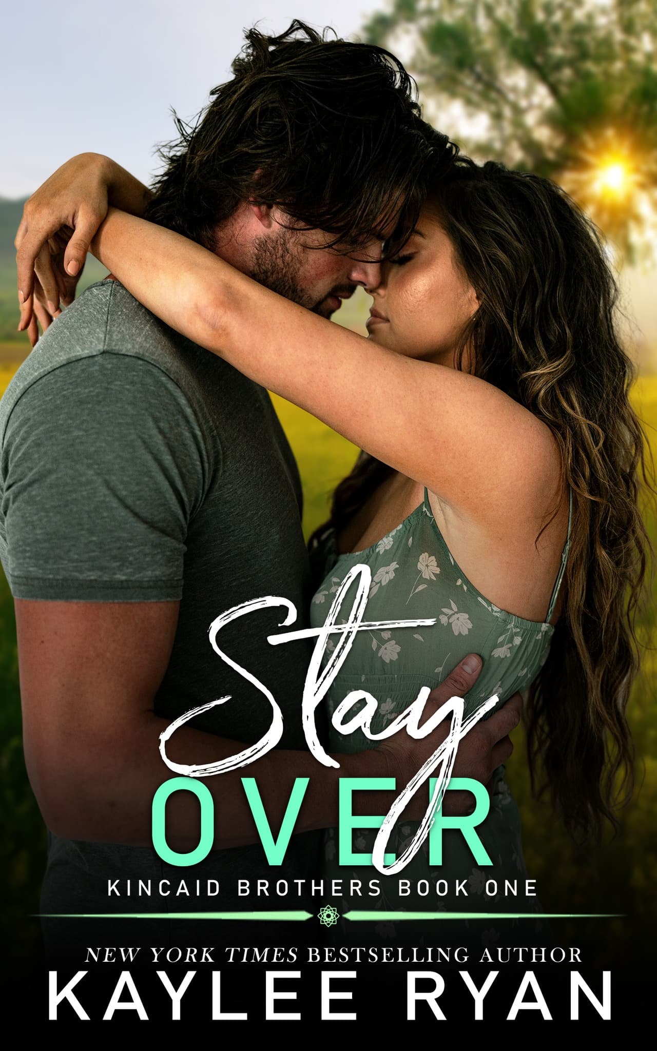 Stay Over book cover