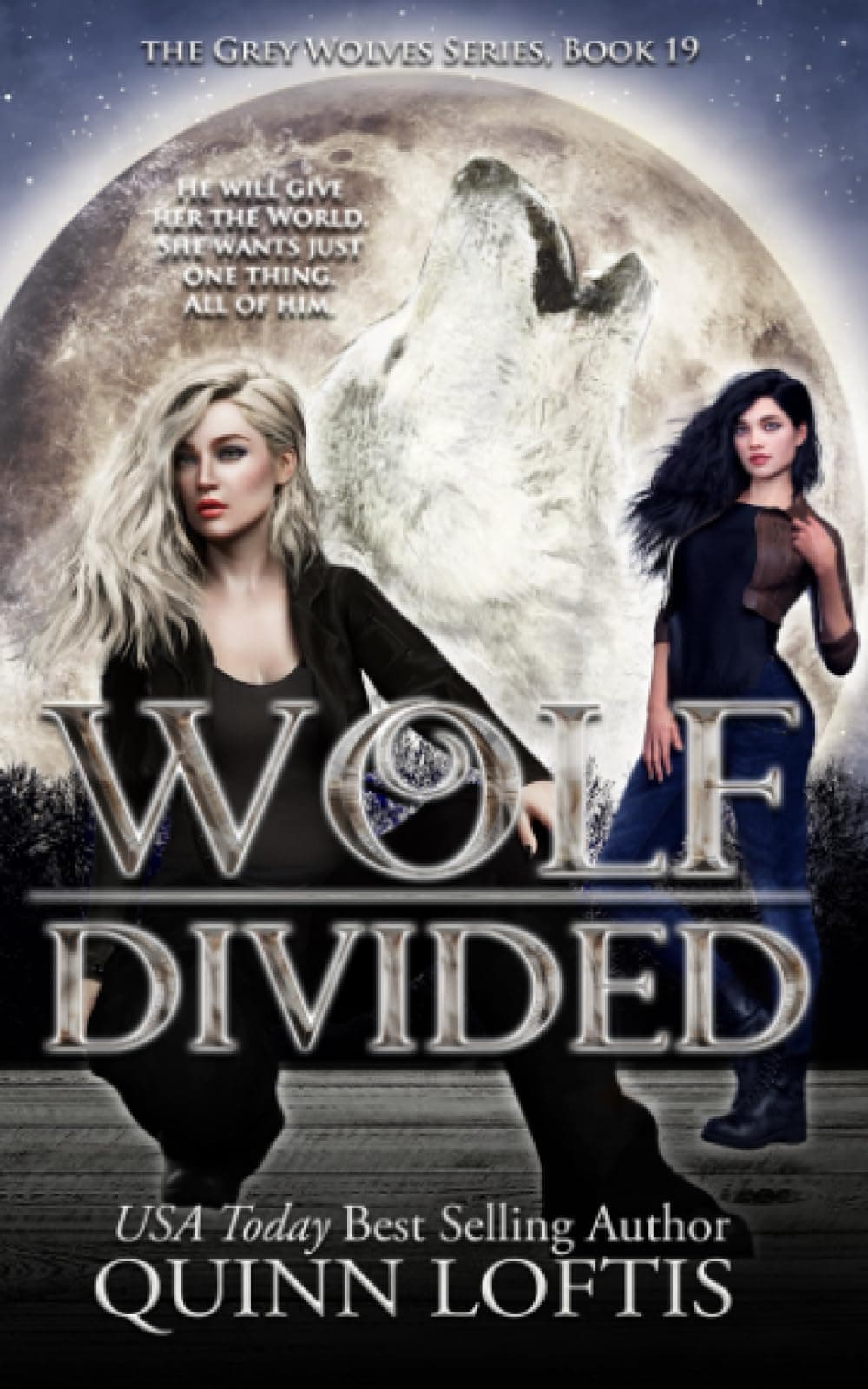 Wolf Divided: Book 19 of the Grey Wolves Series book cover