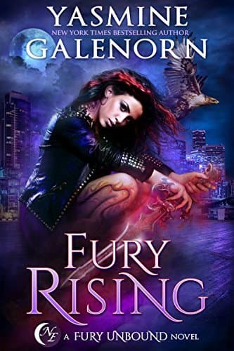 Fury Rising book cover