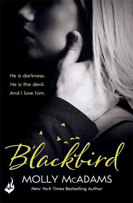 Blackbird book cover