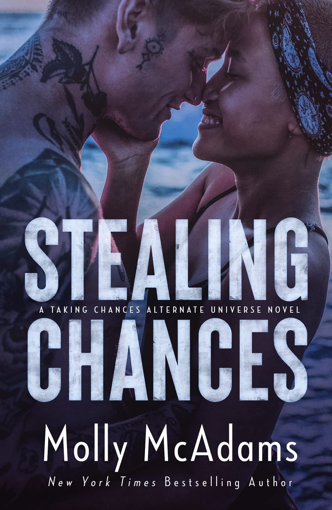 Stealing Chances book cover