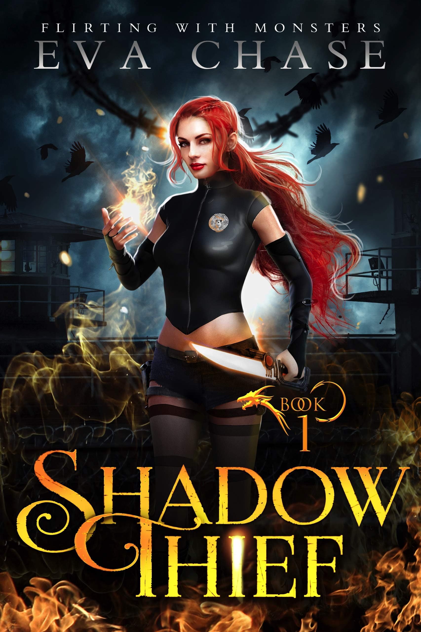 Shadow Thief book cover