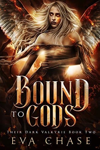 Bound to Gods book cover