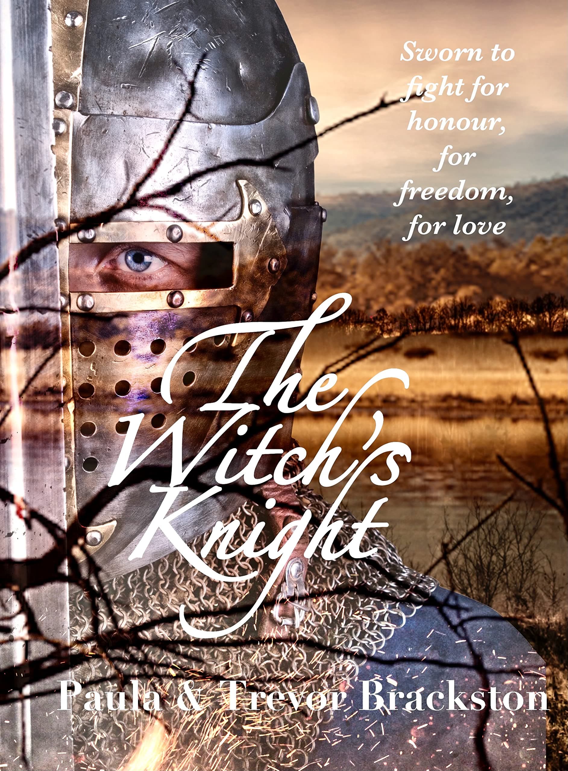 The Witch's Knight book cover